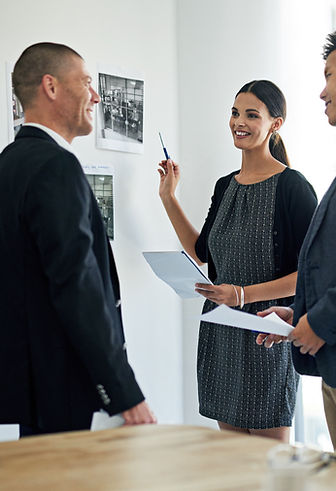 Consultancy discussion